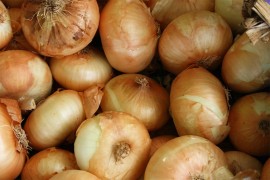 Luk bez suza: Nova sorta na tržištu