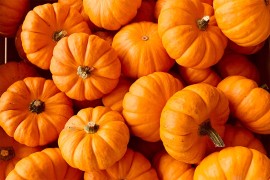 Pumpkin pie - zobena kaša s bundevom