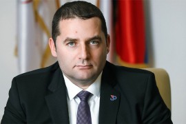 Stanković: Zakon o imovini ponovo pred poslanicima nakon korekcije