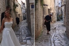Mladenci krenuli na fotografisanje pa u im kadar uletio štakor i ljuti ...