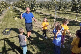 Dunjik Danila Škere odolio nepogodama, rakija će biti još bolja