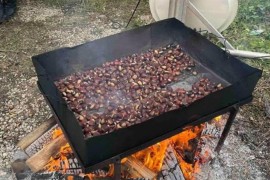 Danas počinje Kestenijada u Kostajnici