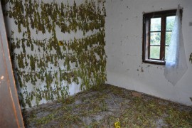 Akcija "Plantaža 2023": U napuštenoj kući pronađeno 28 kilograma ...
