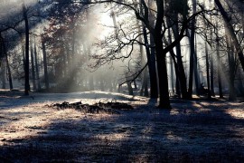 Magla u Posavini smanjuje vidljivost