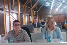 Smijenjeni premijer Amra Mehmedić i Vlada ZDK