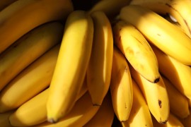 ​U bananama skrivali 7,7 tona kokaina