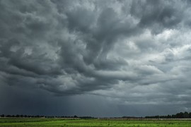 Danas do 23 stepena i veoma vjetrovito, naveče kiša