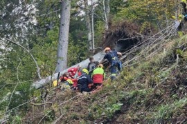 Radnik (24) iz BiH teško povrijeđen tokom sječe šume
