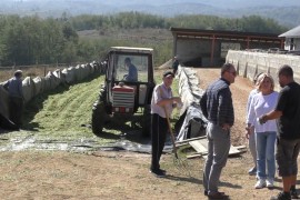 Mehanizacija i stoka za 11 poljoprivrednika