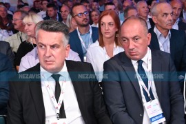Vuković: PDP želi uvođenje obaveznog glasanja i skenera