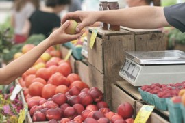 Cijene svih pijačnih usluga u Beogradu biće smanjene za 15 odsto