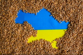 Kijev: Isporuke žita preko novog koridora u oktobru mogu da premaše ...