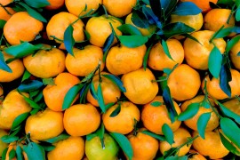 Uništena pošiljka mandarina iz Hrvatske u Srbiju