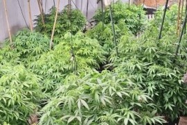 Oduzeto 23 kilograma droge, pronađena i dva snajpera (FOTO)