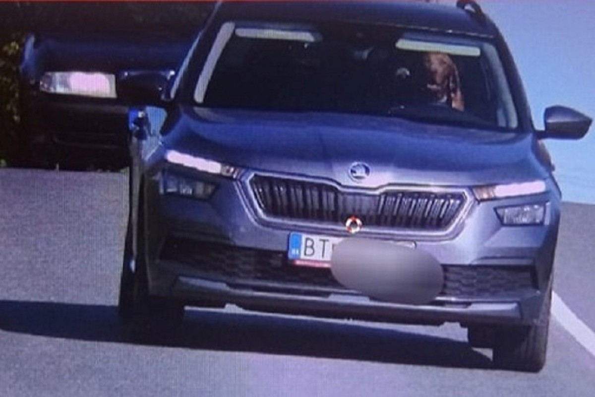 Pri prebrzoj vožnji za volanom nije snimljen čovjek nego pas (FOTO)
