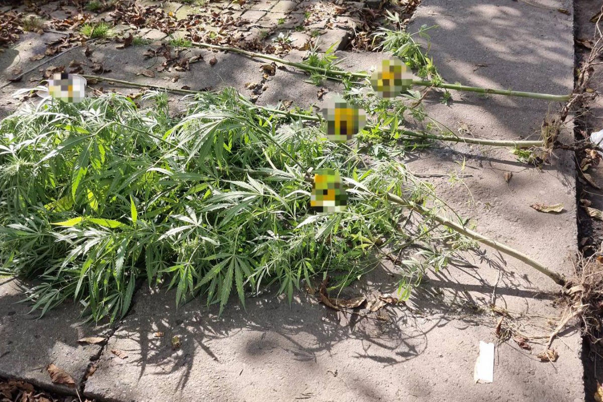 Policijska akcija u Brodu, zaplijenjena droga (FOTO)