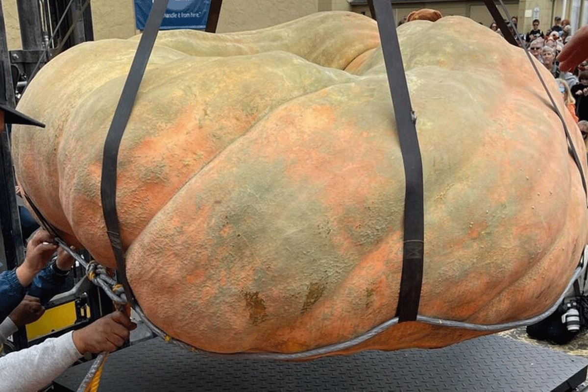 Najteža bundeva na svijetu teška 1.250 kilograma