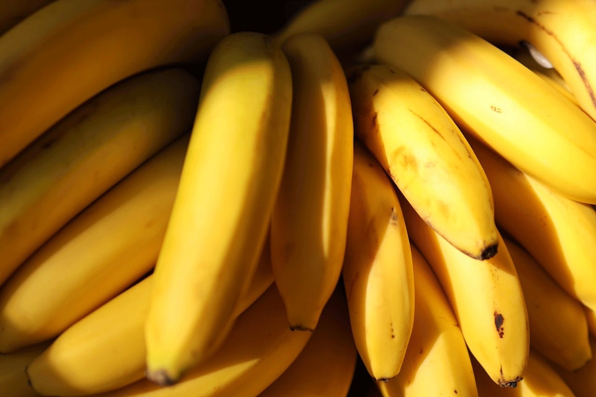 ​U bananama skrivali 7,7 tona kokaina