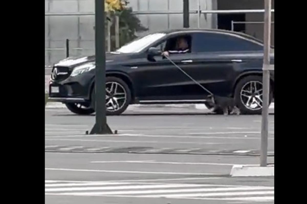 Kroz prozor automobila prošetao psa po ulici (VIDEO)