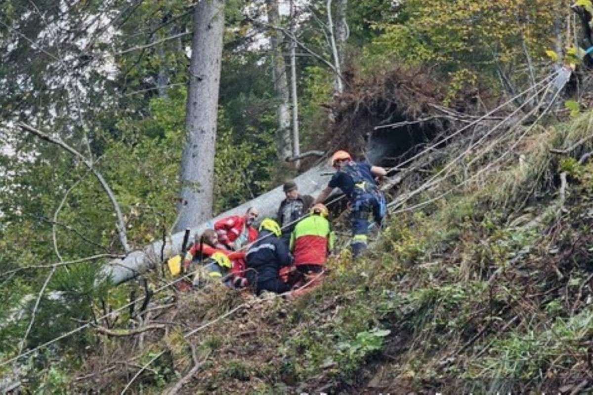 Radnik (24) iz BiH teško povrijeđen tokom sječe šume