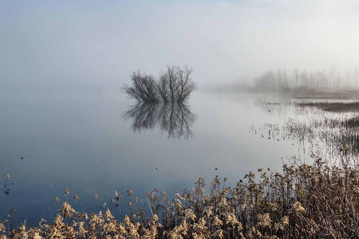 Izabrane najljepše fotografije kraških polja