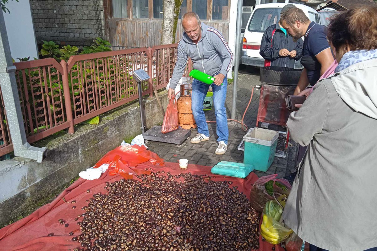 Podbacio urod kestena, porasla i maloprodajna cijena
