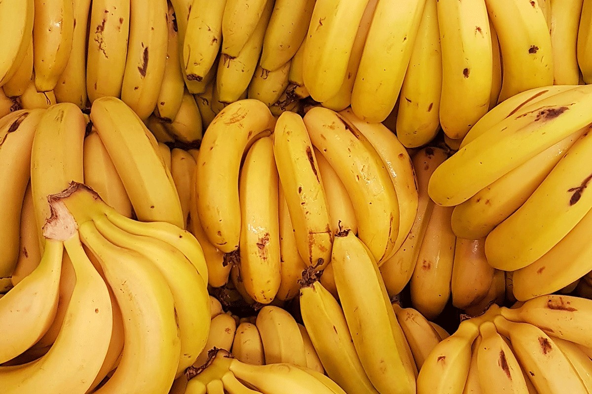 Bananama prijeti izumiranje?