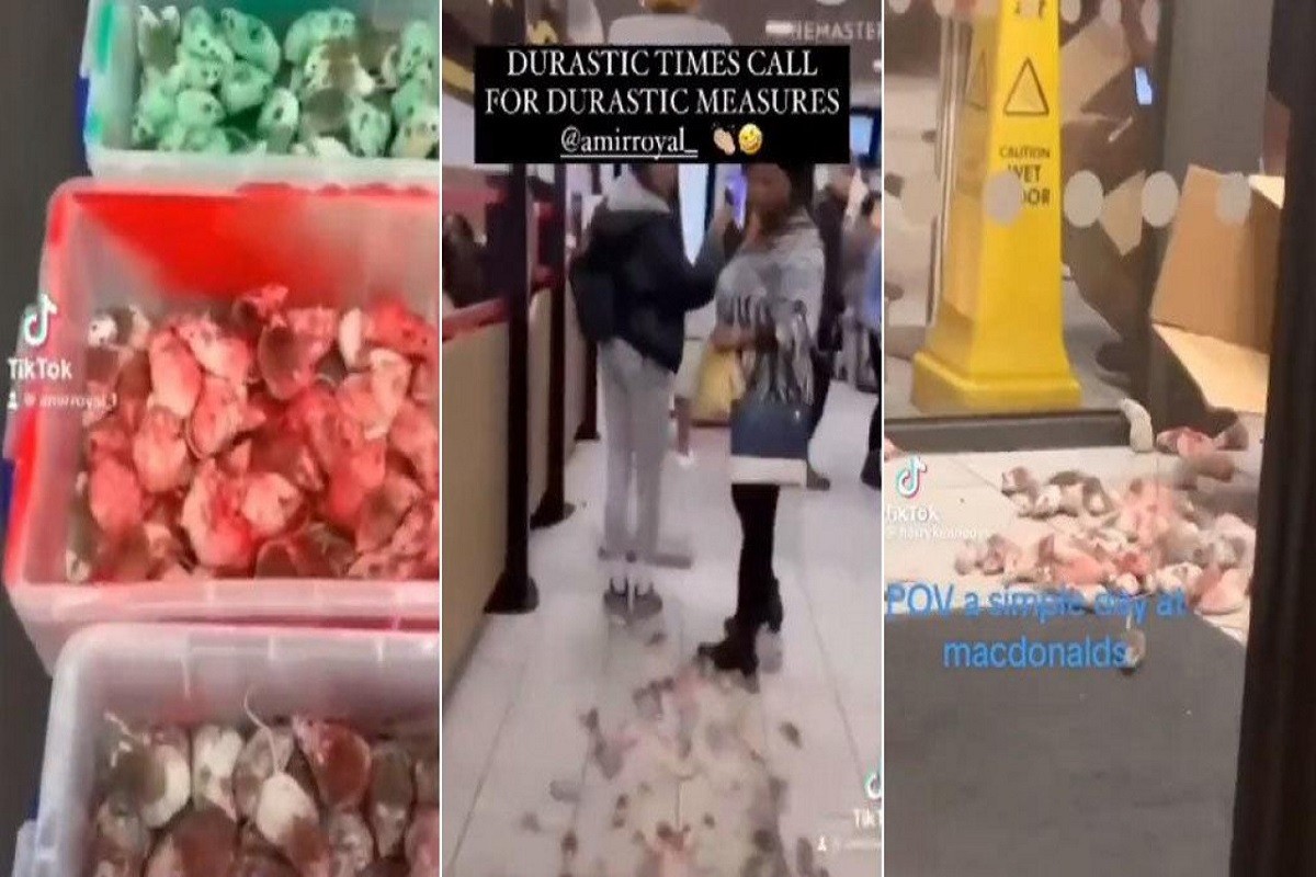 Ušetao u "McDonald's" s tri kutije miševa i napravio haos (VIDEO)