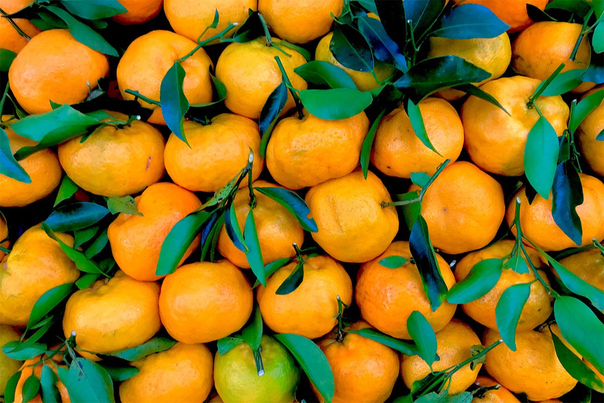 Uništena pošiljka mandarina iz Hrvatske u Srbiju
