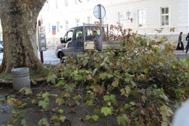 Komunalci započeli jesenje uređenje Trebinja