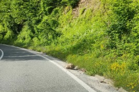 Vozači oprezno - moguć nailazak na oboreno granje i drveće