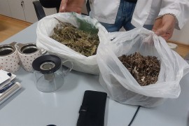 Fočanski farmakolozi spajaju narodnu sa savremenom medicinom