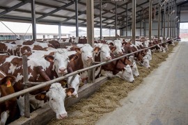 Stočari izlaze iz posla u zamjenu za naknadu