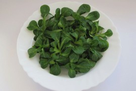 Koje dvije salate uzgajati i brati zimi?