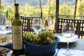 Vinari u Srpskoj će imati manje vina, ali će biti najkvalitetnije