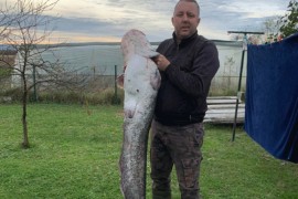 Konobar iz Gradiške ulovio soma od 25 kilograma