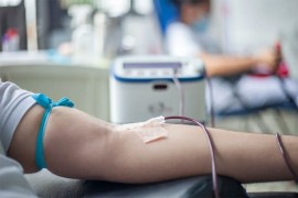Spas za oboljele: Srpska sa Srbijom uspostavlja registar donora ...