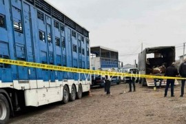 Nakon svađe bacio bombu na pijacu u Prizrenu, devet osoba povrijeđeno