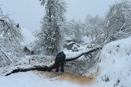 Sjenicu zatrpao snijeg, dalekovod ispao iz sistema