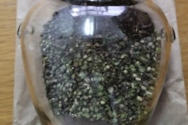 Hapšenje u Kotor Varošu, pronađeni pištolj, marihuana i sjemenke