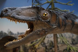 Da li su dinosaurusi zaista nestali zbog udara asteroida