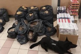 Pas nanjušio švercera u Zagrebu, zaplijenili preko 600 šteka cigareta