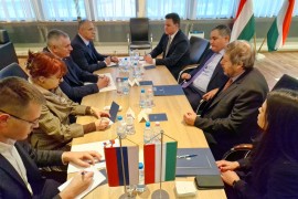 Moguća saradnja Srpske i Mađarske posebno u poljoprivredi i energetici