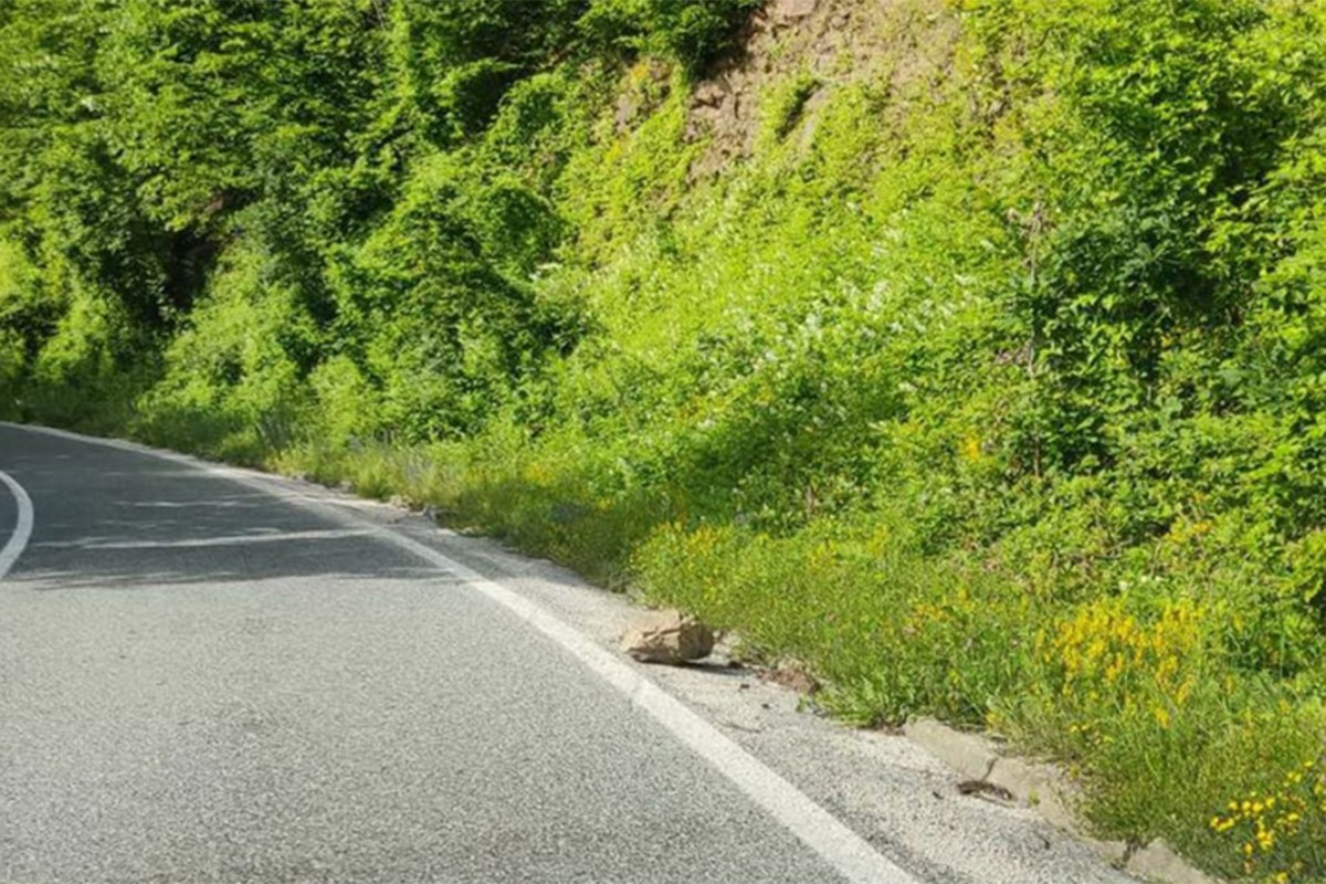 Vozači oprezno - moguć nailazak na oboreno granje i drveće