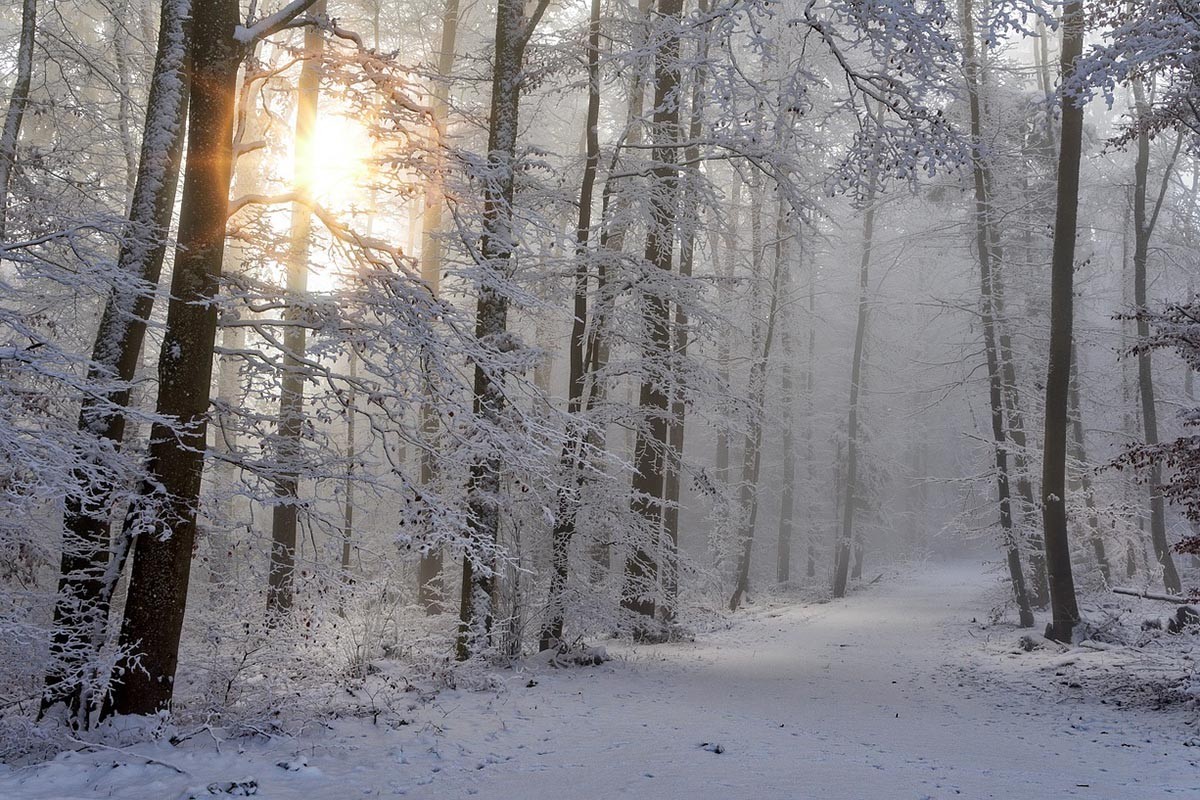 Poznati meteorolog najavio dolazak snijega