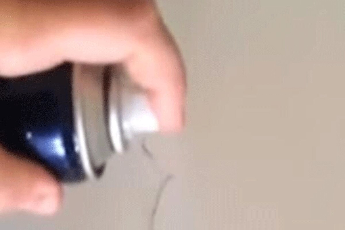 Naprskala lak za kosu na zid i riješila noćnu moru domaćica (VIDEO)