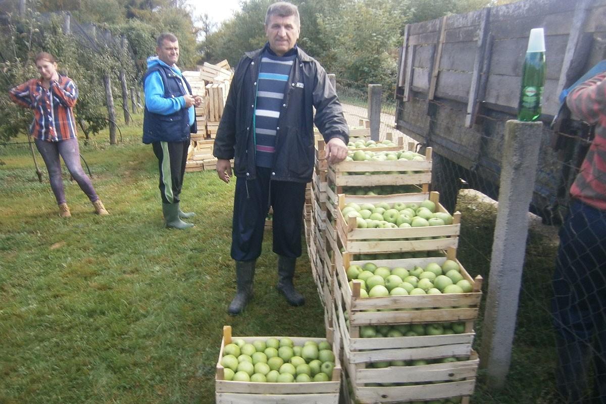 Zbog nerodne godine porasla cijena jabuka