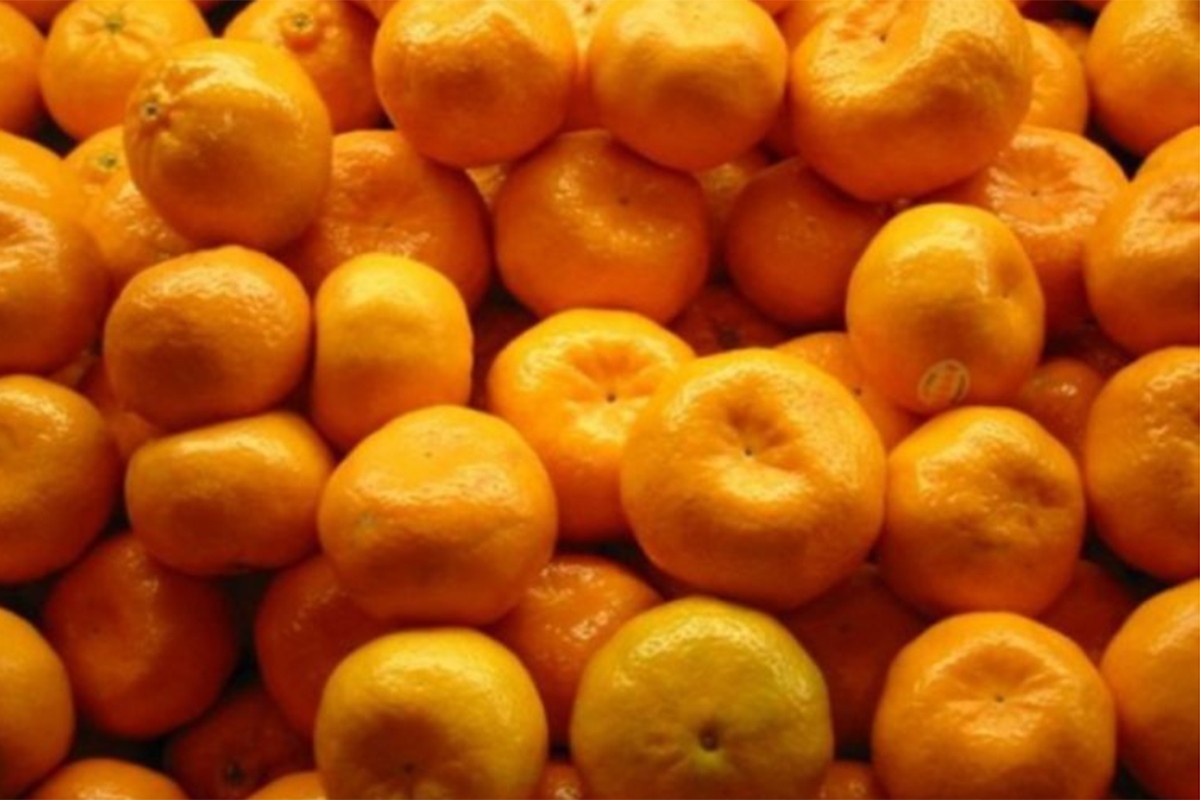 Nema informacija o mandarinama sa pesticidima na tržištu BiH