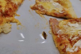 U menzi dobili hranu sa žoharima
