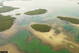 Da li ste čuli za Čokoladna ostrva? Izgledaju kao bombonjere